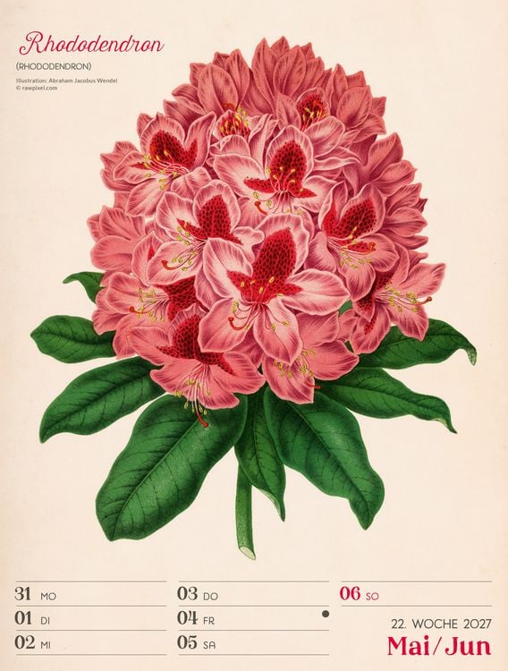 Produktbild: Ars Floralis Wochenplaner Kalender 2027
