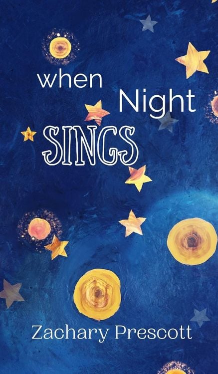 Produktbild: When Night Sings