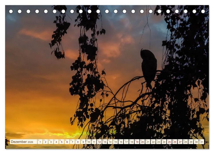 Produktbild: Eulen in Franken (Tischkalender 2026 DIN A5 quer), CALVENDO Monatskalender