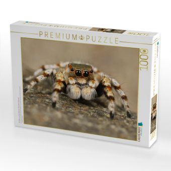 Produktbild: CALVENDO Puzzle Ein Motiv aus dem Kalender Faszination Spinnen | 1000 Teile Lege-Gr&ouml;&szlig;e 64x48cm Foto-Puzzle f&uuml;r gl&uuml;ckliche Stunden