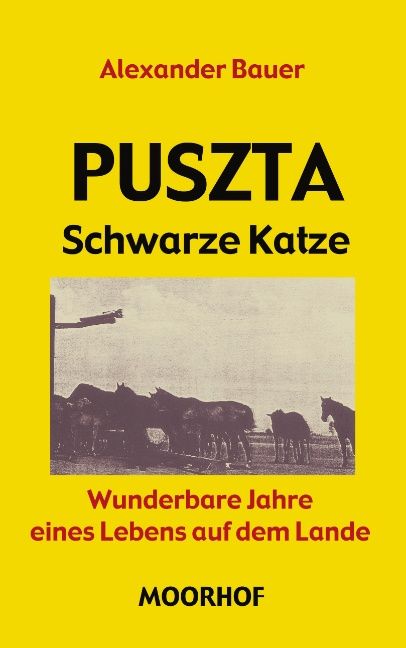 Produktbild: Puszta - schwarze Katze - wunderbare Jahre eines Lebens auf dem Lande