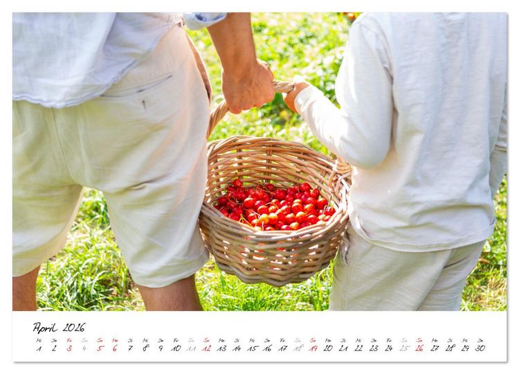 Produktbild: Kirschen aus dem Garten &ndash; Erntekalender (Wandkalender 2026 DIN A2 quer), CALVENDO Monatskalender