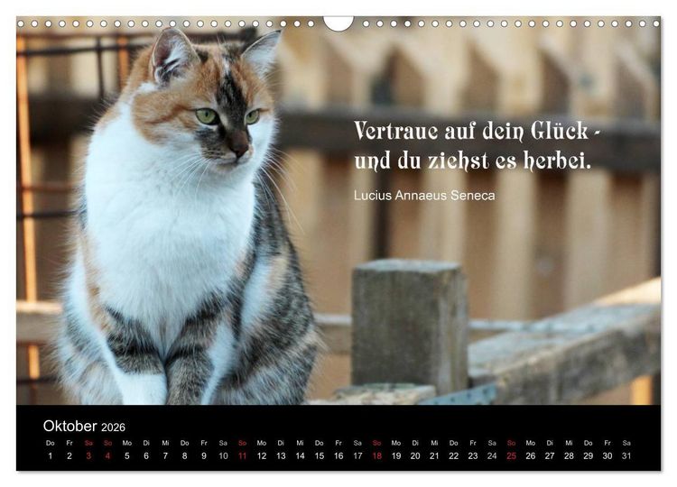 Produktbild: Gl&uuml;ckskatze - Mit Zitaten zum Thema Gl&uuml;ck (Wandkalender 2026 DIN A3 quer), CALVENDO Monatskalender