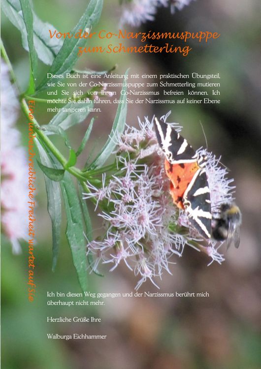 Produktbild: Von der Co-Narzissmuspuppe zum Schmetterling