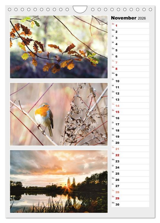 Produktbild: Zauberhafte Farben der Natur (Wandkalender 2026 DIN A4 hoch), CALVENDO Monatskalender