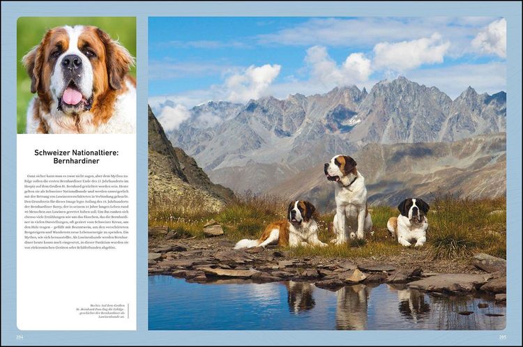 Produktbild: KUNTH Bildband Wilde Alpen