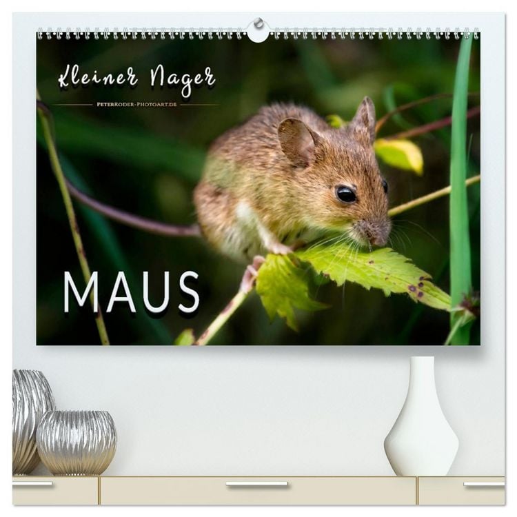 Produktbild: Kleiner Nager - Maus (hochwertiger Premium Wandkalender 2026 DIN A2 quer), Kunstdruck in Hochglanz