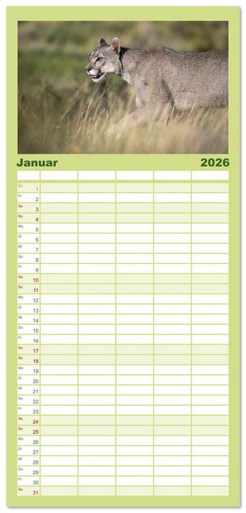Produktbild: Familienplaner 2026 - Wildlife S&uuml;damerika mit 5 Spalten (Wandkalender, 21 x 45 cm) CALVENDO