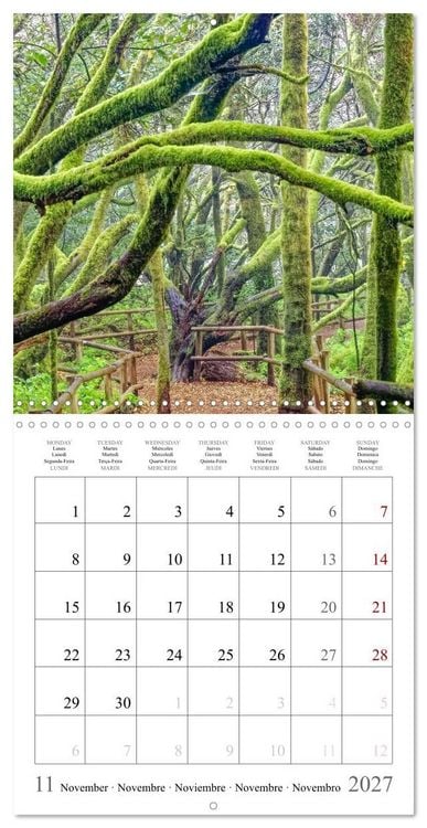 Produktbild: Canary Islands - Volcanic Beauties (Wall Calendar 2027 12 &times; 12 Inch) CALVENDO 12 Month Wall Calendar