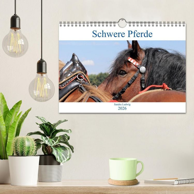Produktbild: Schwere Pferde 2026 (Wandkalender 2026 DIN A4 quer), CALVENDO Monatskalender