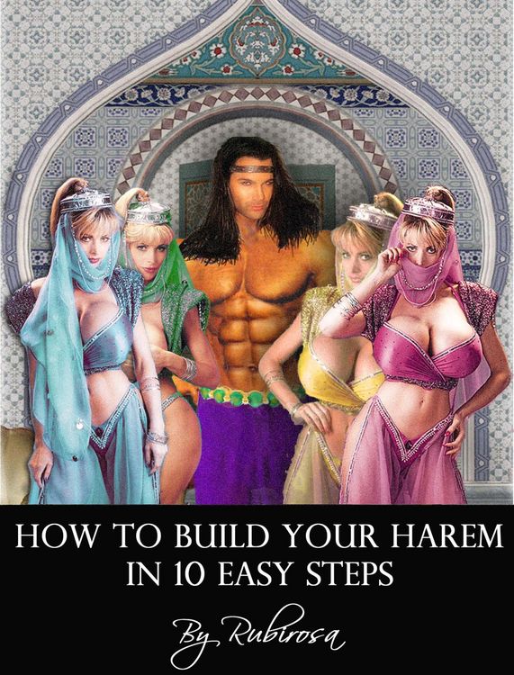 Produktbild: How to Build Your Harem in 10 Easy Steps