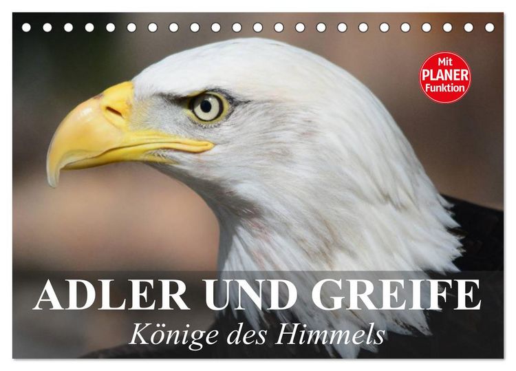 Produktbild: Adler und Greife. K&ouml;nige des Himmels (Tischkalender 2026 DIN A5 quer), CALVENDO Monatskalender