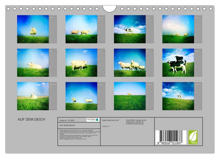 Produktbild: AUF DEM DEICH (Wandkalender 2026 DIN A4 quer), CALVENDO Monatskalender