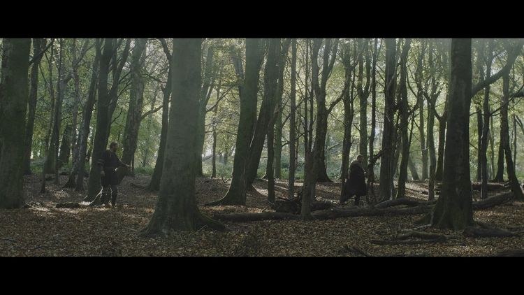 Produktbild: Robin Hood - Der Rebell