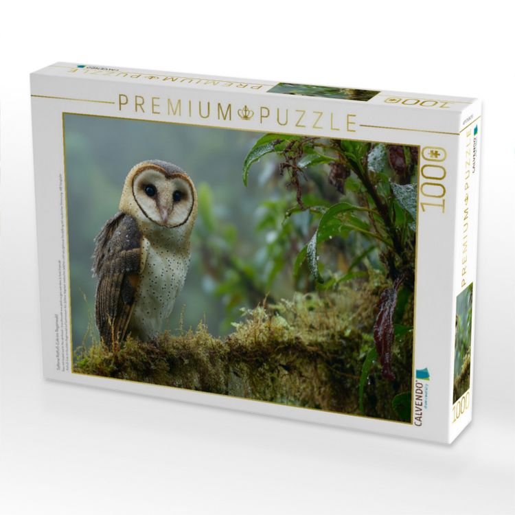 Produktbild: CALVENDO Puzzle Seltene Rotfu&szlig;-Eule im Regenwald | 1000 Teile Lege-Gr&ouml;&szlig;e 64x48cm Foto-Puzzle f&uuml;r gl&uuml;ckliche Stunden