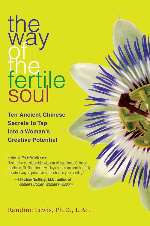 Produktbild: The Way of the Fertile Soul