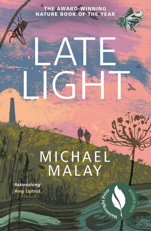 Produktbild: Late Light
