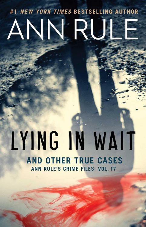 Produktbild: Lying in Wait