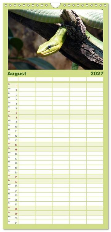 Produktbild: Familienplaner 2027 - Schlangen mit 5 Spalten (Wandkalender, 21 x 45 cm) CALVENDO