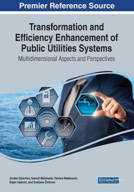 Produktbild: Transformation and Efficiency Enhancement of Public Utilities Systems