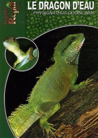 Produktbild: Dragon d'eau physignathus