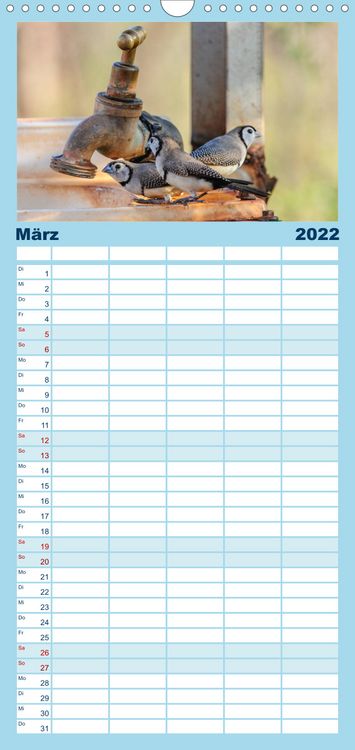 Produktbild: Familienplaner V&ouml;gel von "Down Under" Australien (Wandkalender 2022 , 21 cm x 45 cm, hoch)