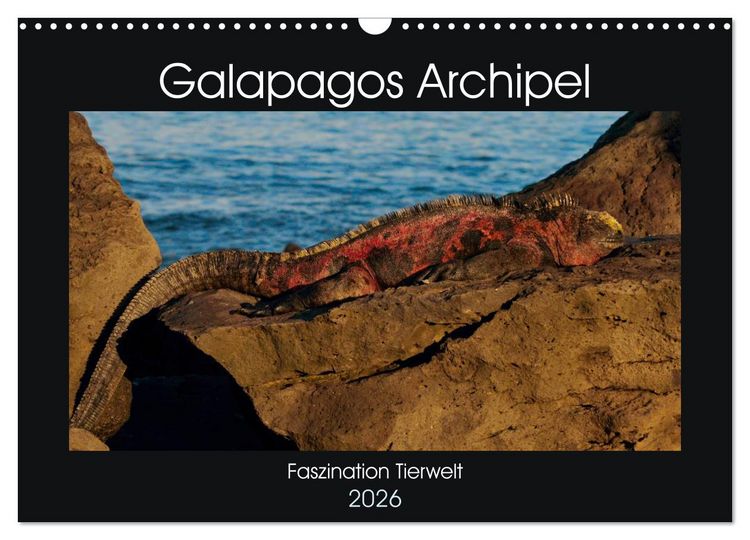 Produktbild: Galapagos Archipel- Faszination Tierwelt (Wandkalender 2026 DIN A3 quer), CALVENDO Monatskalender