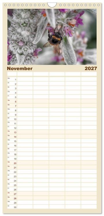 Produktbild: Familienplaner 2027 - Hummelflug mit 5 Spalten (Wandkalender, 21 x 45 cm) CALVENDO