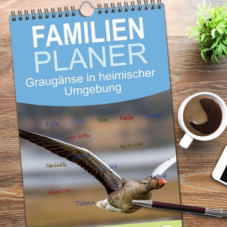 Produktbild: Familienplaner 2026 - Graug&auml;nse in heimischer Umgebung mit 5 Spalten (Wandkalender, 21 x 45 cm) CALVENDO