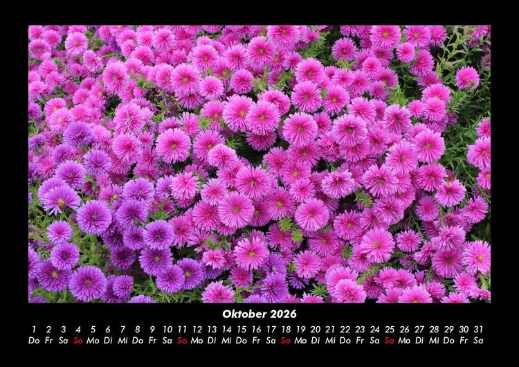 Produktbild: Blumentr&auml;ume 2026 Fotokalender DIN A3