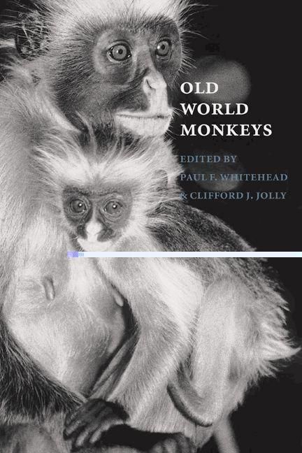 Produktbild: Old World Monkeys