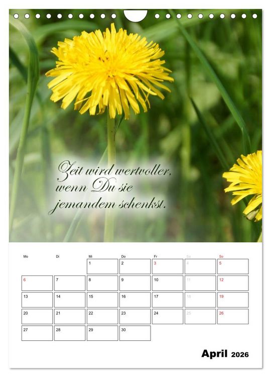 Produktbild: Sch&ouml;ne Spr&uuml;che f&uuml;r Dein ganzes Jahr (Wandkalender 2026 DIN A4 hoch), CALVENDO Monatskalender