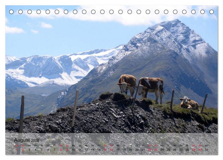 Produktbild: Saanenland. Ein Kalender aus dem Berner Oberland (Tischkalender 2026 DIN A5 quer), CALVENDO Monatskalender