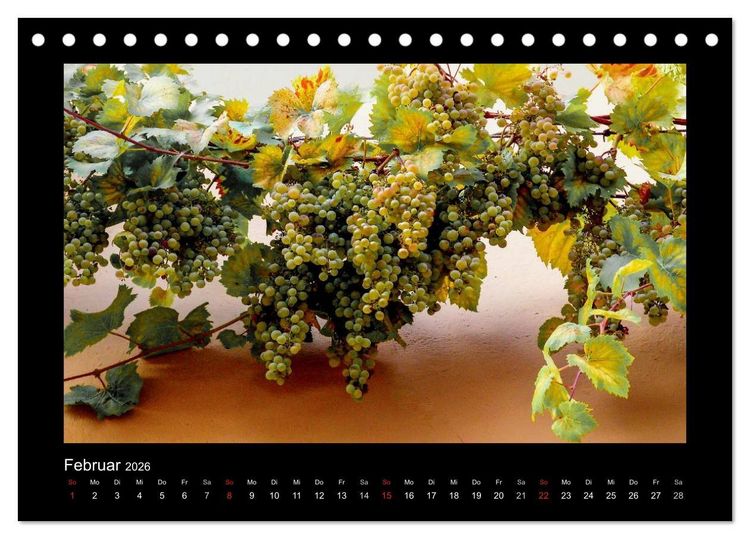 Produktbild: Wein - Reben, Wingerte und historische Weinkeller (Tischkalender 2026 DIN A5 quer), CALVENDO Monatskalender