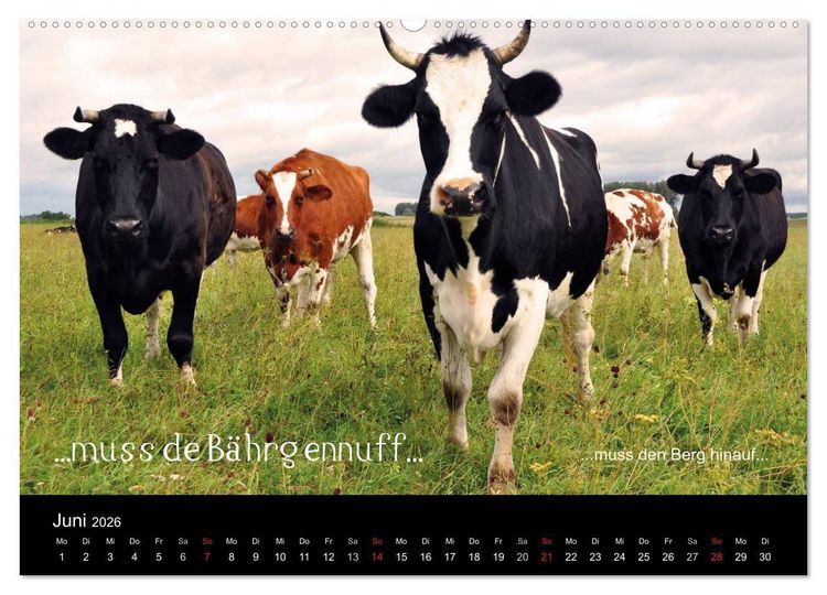 Produktbild: Die Wetterau mit Mundart-Statements (hochwertiger Premium Wandkalender 2026 DIN A2 quer), Kunstdruck in Hochglanz