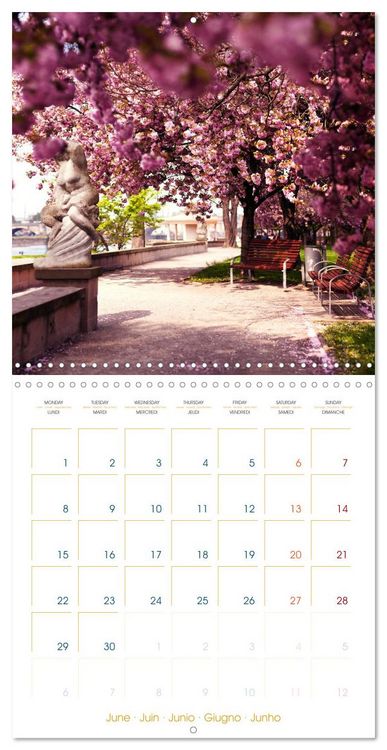 Produktbild: Romantic Dresden (Wall Calendar 2026 12 &times; 12 Inch) CALVENDO 12 Month Wall Calendar