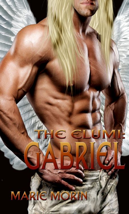 Produktbild: The Elumi: Gabriel