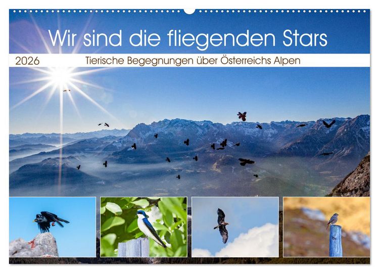 Produktbild: Wir sind die fliegenden Stars (Wandkalender 2026 DIN A2 quer), CALVENDO Monatskalender