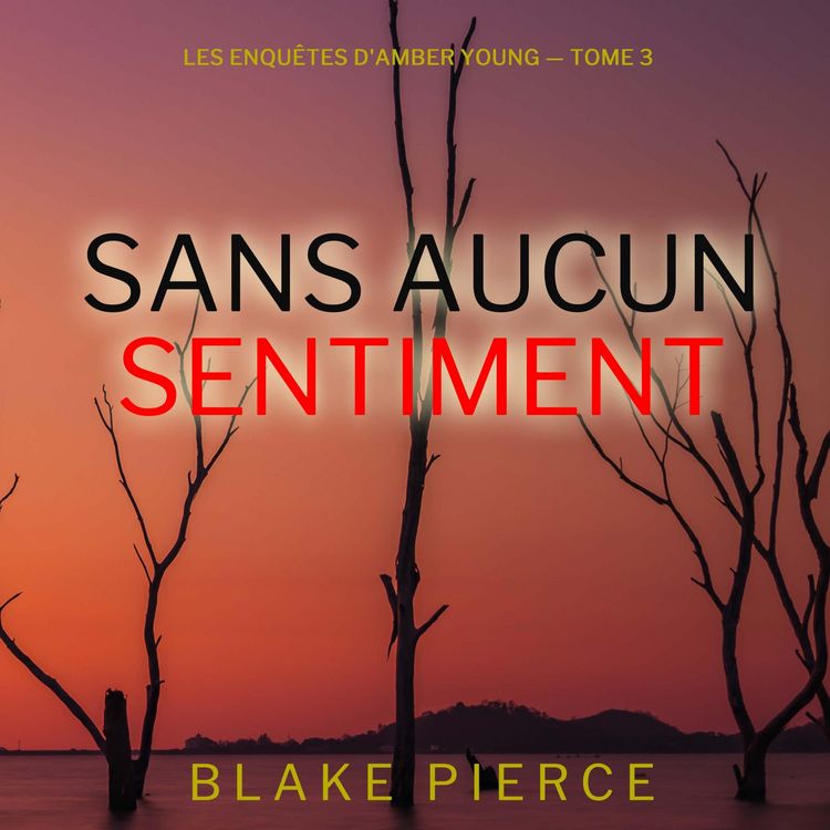 Produktbild: Sans aucun sentiment (Les Enqu&ecirc;tes d'Amber Young &mdash; tome 3)