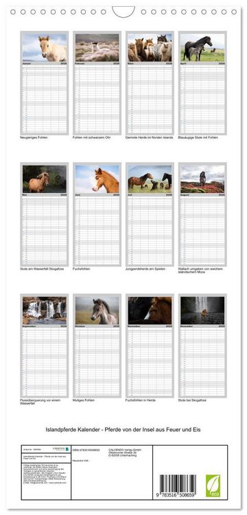 Produktbild: Familienplaner 2026 - Islandpferde Kalender - Pferde von der Insel aus Feuer und Eis mit 5 Spalten (Wandkalender, 21 x 45 cm) CALVENDO
