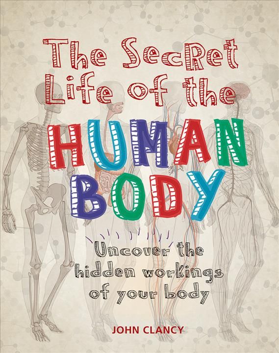 Produktbild: The Secret Life of the Human Body