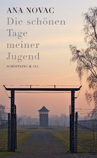 Produktbild: Die sch&ouml;nen Tage meiner Jugend