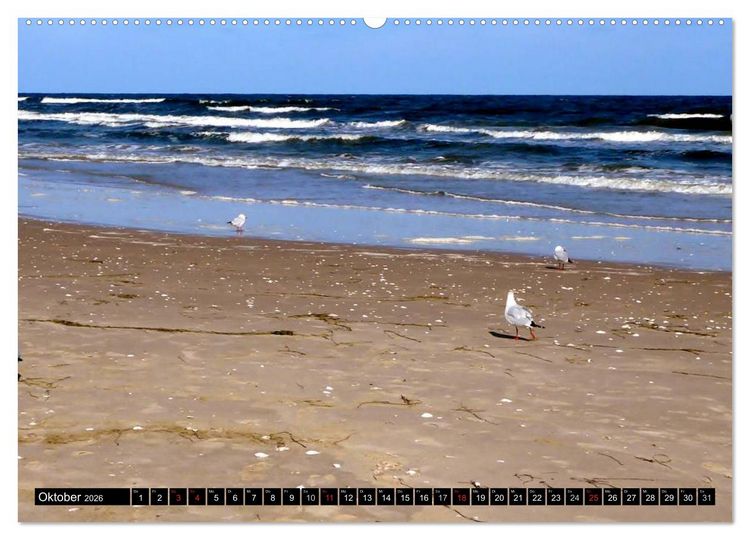Produktbild: USEDOM - Seeb&auml;der und Naturparadies (hochwertiger Premium Wandkalender 2026 DIN A2 quer), Kunstdruck in Hochglanz