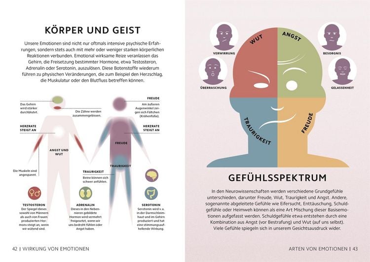 Produktbild: SIMPLY. Das Gehirn