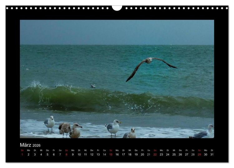 Produktbild: An der Nordsee (Wandkalender 2026 DIN A3 quer), CALVENDO Monatskalender
