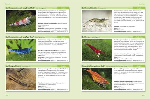 Produktbild: Nano-S&uuml;&szlig;wasseraquarien