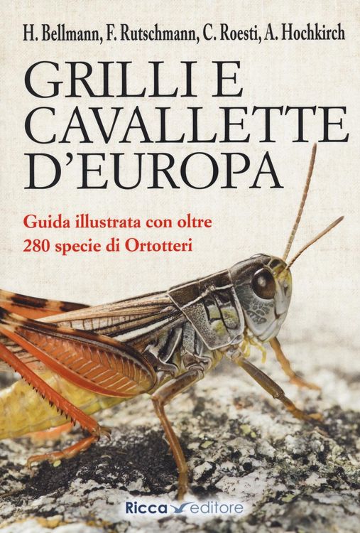 Produktbild: Grilli e cavallette d'Europa