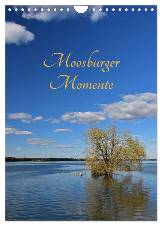 Produktbild: Moosburger Momente (Wandkalender 2026 DIN A4 hoch), CALVENDO Monatskalender