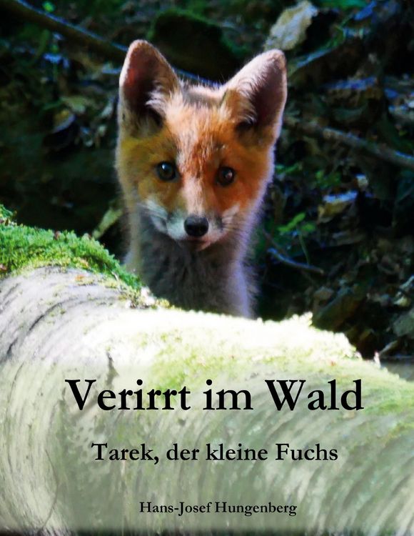 Produktbild: Verirrt im Wald