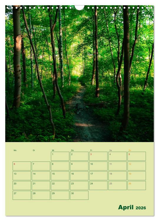 Produktbild: Wald- und Wiesenkalender 2026 Planer (Wandkalender 2026 DIN A3 hoch), CALVENDO Monatskalender
